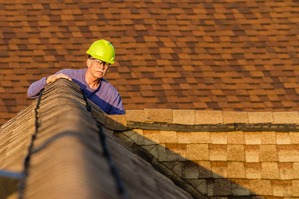 Best Roof Gutter Cleaning  in Orcdlands Estates, HI